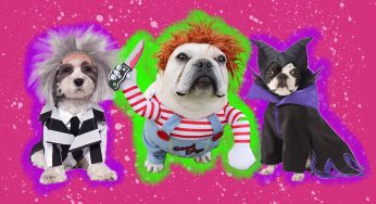 Horror Pet Costumes That Will Make Your Furry Friend the Star of Any Horror Gathering
