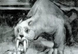 Cryptids and Urban Legends