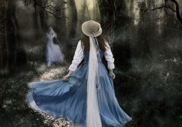 Ghosts of the Forest