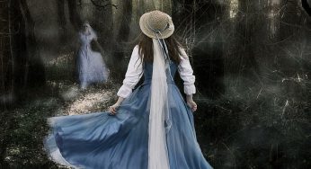 Ghosts of the Forest: Uncovering the Hidden Beings in the Shadows