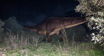 Exploring the Enigma of Mokele-Mbembe: The Dinosaur-Like Beast of Congo