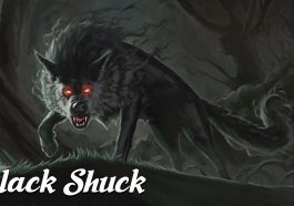 The Black Shuck