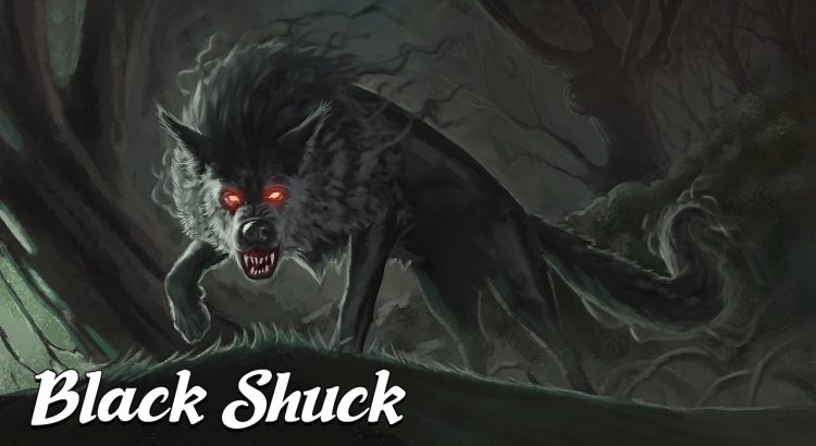 The Black Shuck