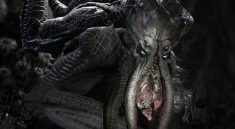 The Kraken