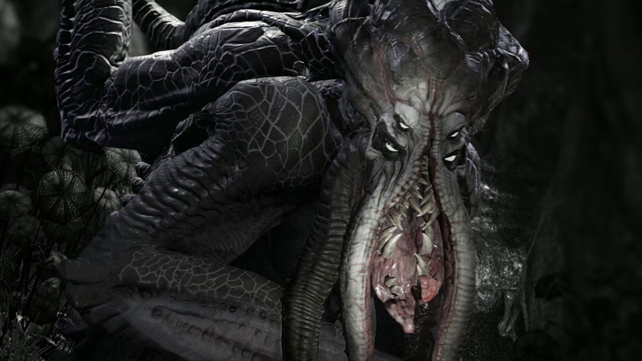 The Kraken