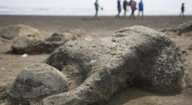 The Legend of Malin Kundang