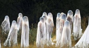 The Mambang: Malaysia’s Mysterious Forest Dweller