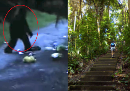 Bukit Timah Monkey Man