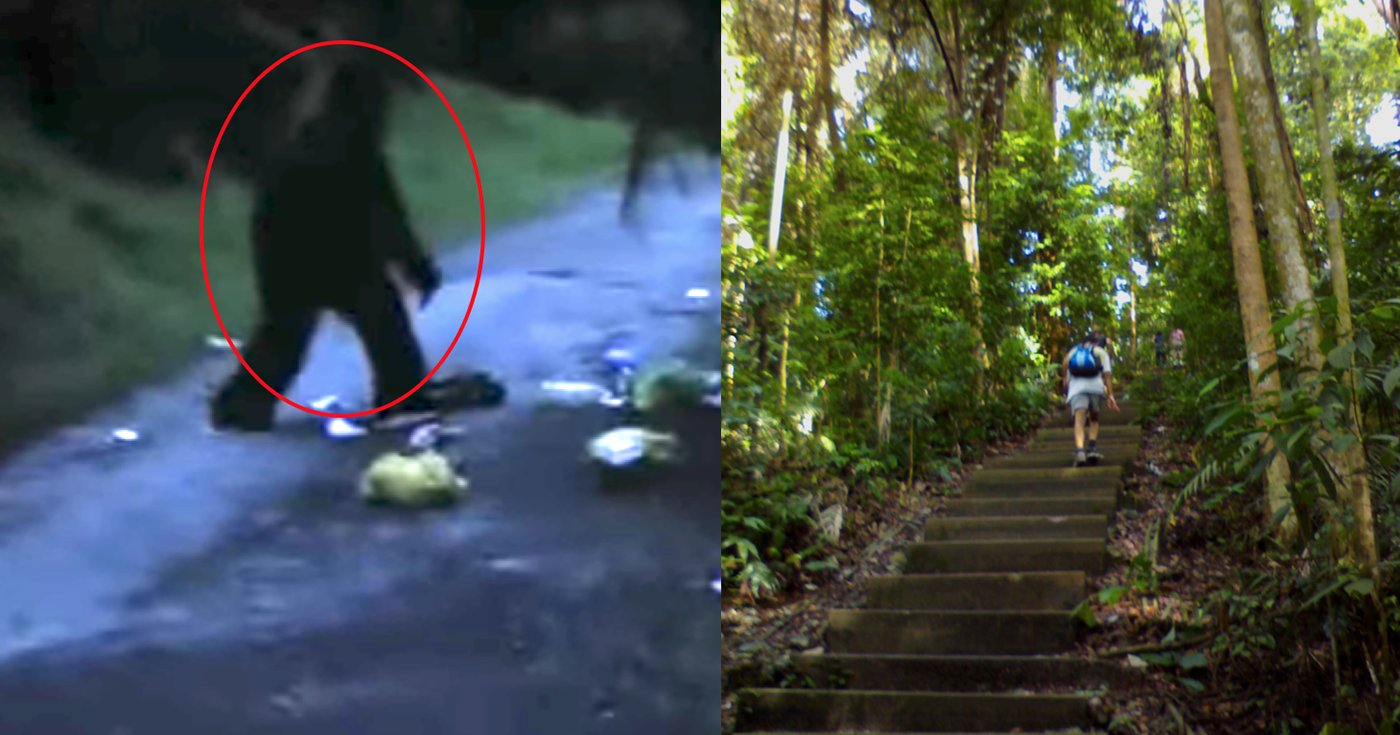 Bukit Timah Monkey Man