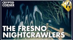 Fresno Nightcrawler