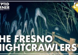 Fresno Nightcrawler
