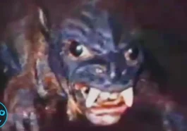 Lancaster’s Ultimate Cryptid