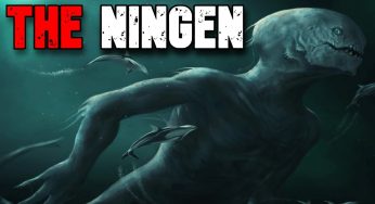 Ningen: The Mysterious Humanoid Sea Creature of the Polar Depths