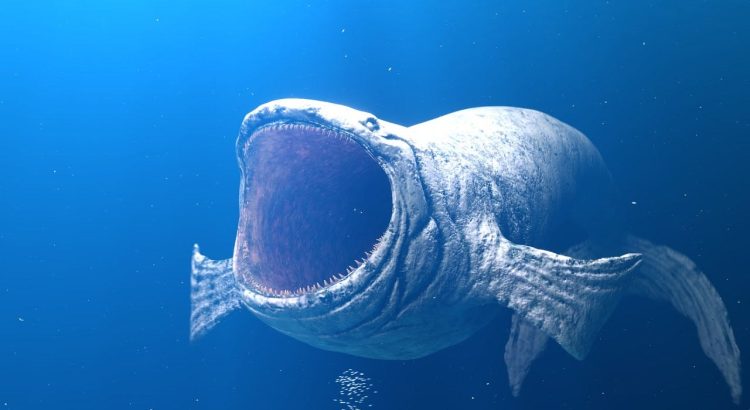 The Bloop Phenomenon