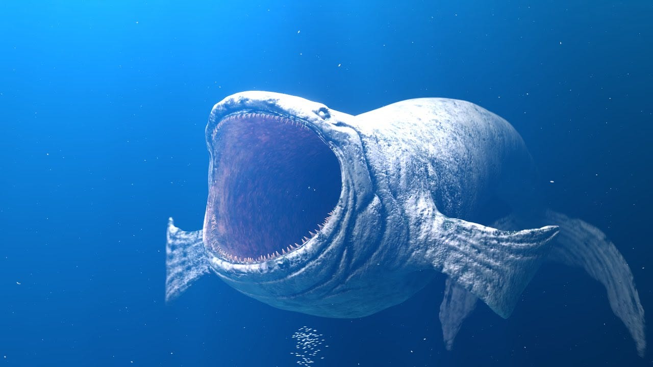 The Bloop Phenomenon