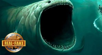Ancient Sea Monster Linked to Prophet Noah Discovered? Experts Are Baffled!