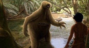 Mapinguari: One-Eyed Beast of the Amazon Jungle