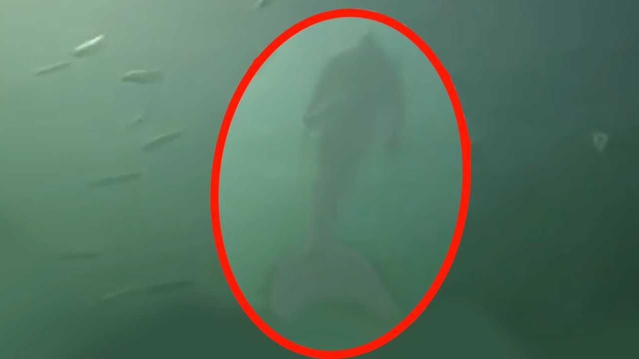 Mermaids
