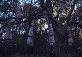 The Banished review – cultish terrors lurk in the Australian outback