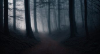 Spine-Chilling Urban Legends Unveiled This Year